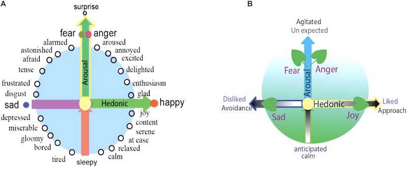 A Model for Basic Emotions Using Observations of Behavior in Drosophila
