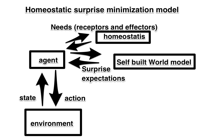 what a surprise minimization model might look like
